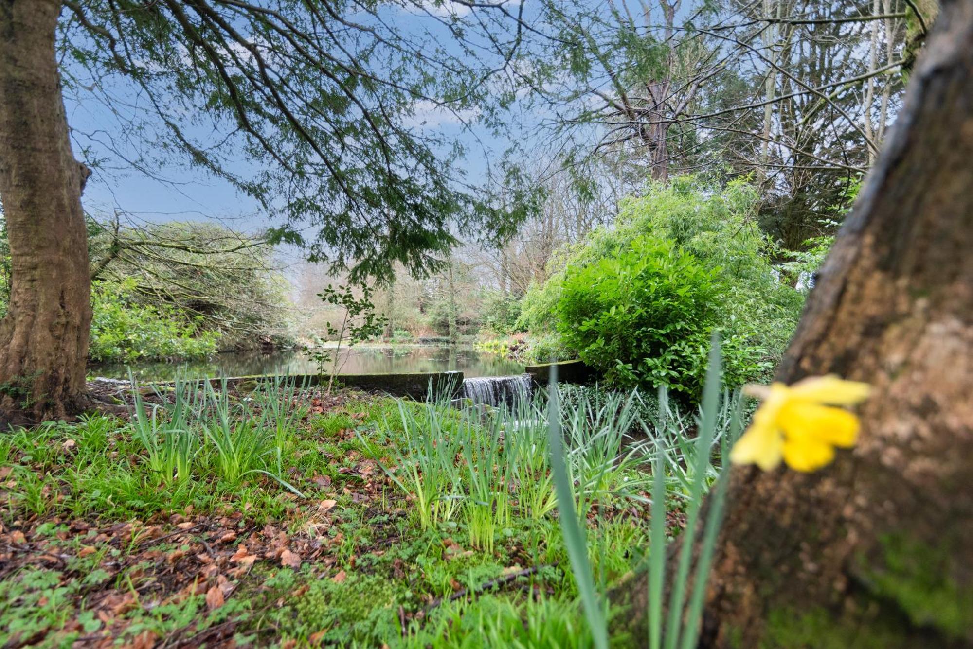 Goytre Hall Abergavenny Esterno foto